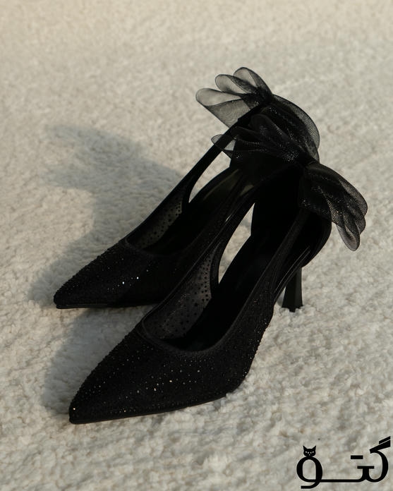 پاشنه نگینی SN