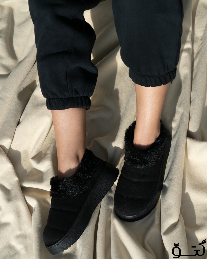 اسلیپر سول خزدار