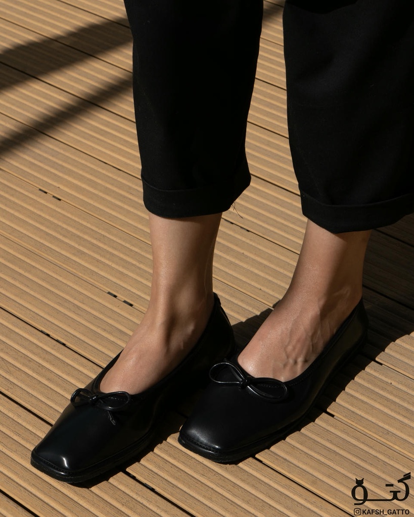 کالج پاپیونی P0010