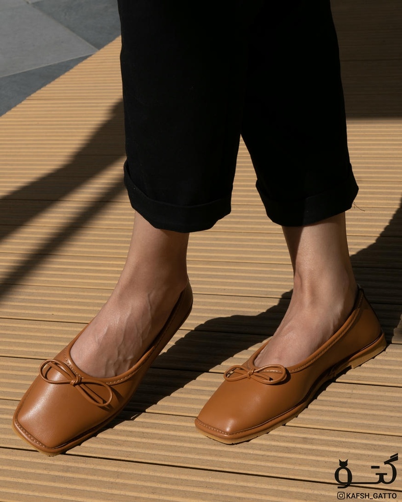 کالج پاپیونی P0010